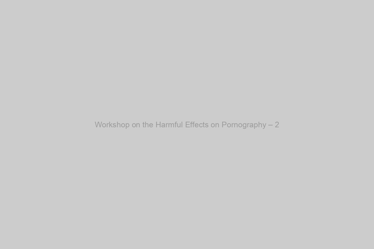 Workshop on the Harmful Effects on Pornography – 2